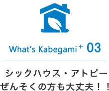 シックハウス・アトピーぜんそくの方も大丈夫！！